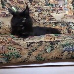Видео 1 Casper