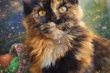 Котенок мейн-кун Elisa StarPaws, окрас f, помет E, 16.10.2019
