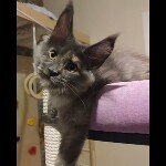 Видео 1 Malta