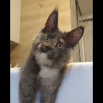 Видео 2 Malta
