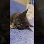 Видео 3 Malta