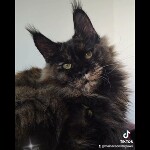 Видео 2 Olivia