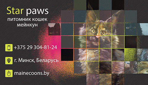 Визитка